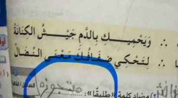 مدرس لغة عربية يوثق إجابة طريفة لتلميذ في امتحان ويرد بأسلوب ساخر